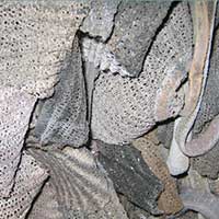 SS-300 Mesh Net